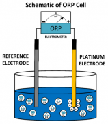 使用 ORP 計測量水中的臭氧